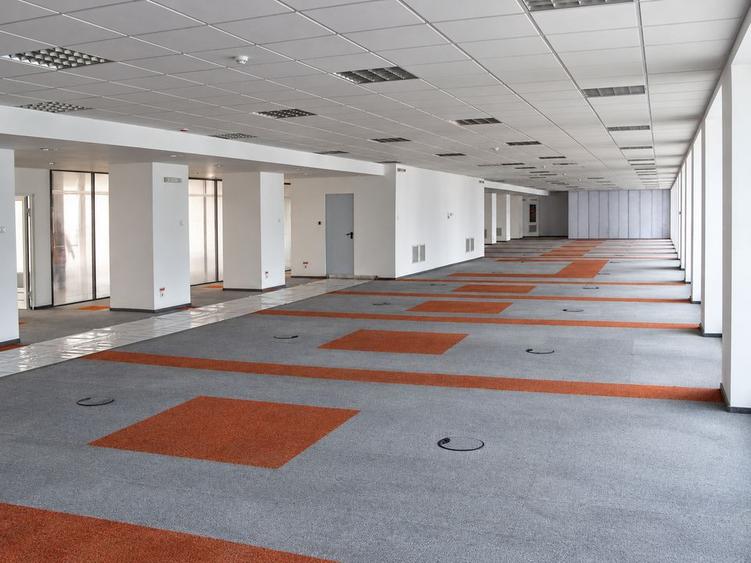 Gersim Floreasca (IPA)