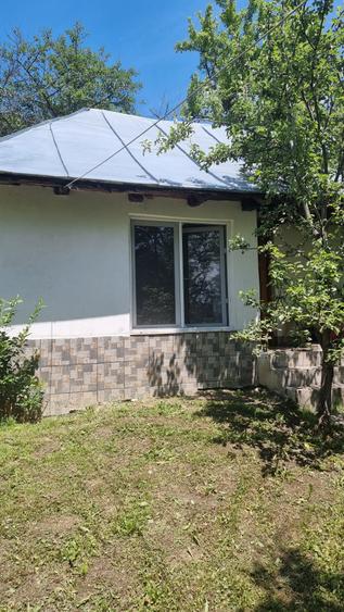 Proprietate de vanzare in Golești - 10800 mp teren și două case