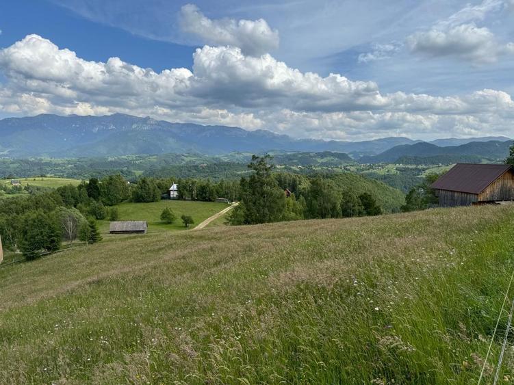 Teren inconjurat de natura de vanzare in Pestera