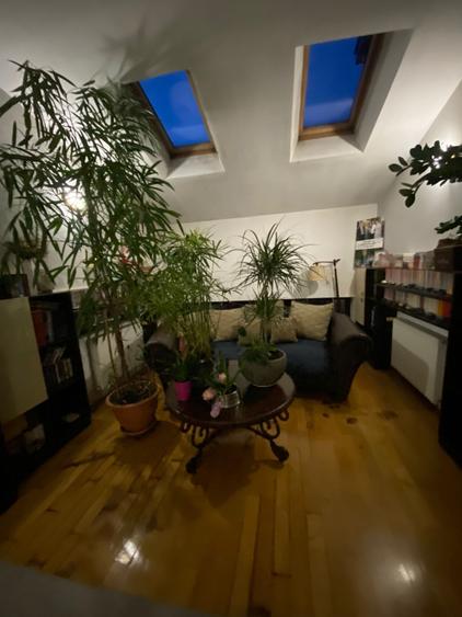 Vila S+P+1, 260 mp utili, teren 428 mp, zona Semicentrala