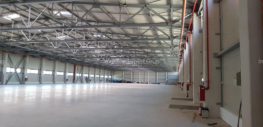 Spatiu depozitare si productie 840 mp Soseaua de centura Otopeni - Odai - 2