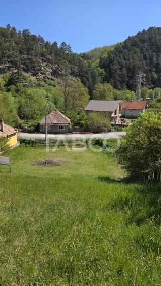 Teren intravilan de vanzare in Sasciori jud Alba