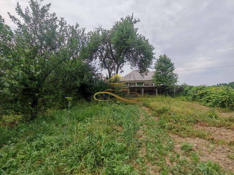 Vând casă bătrânească cu 3300 mp teren in Țârdenii Mari, Blagesti