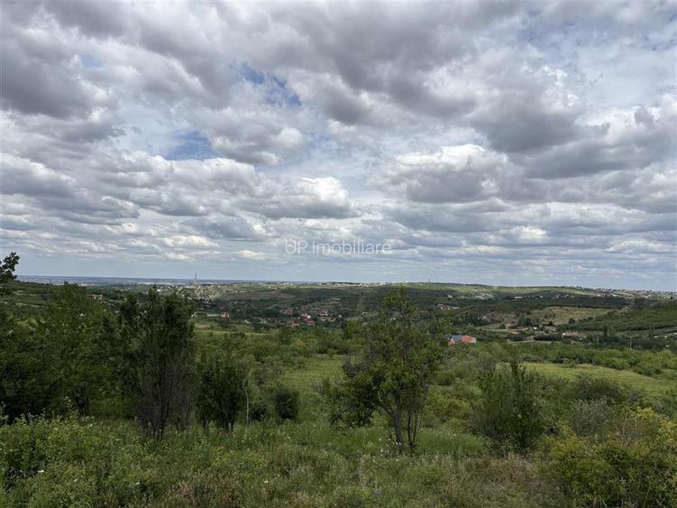 TEREN INTRAVILAN  |  1.824 MP  |  DEALURI  |  ORADEA - 2