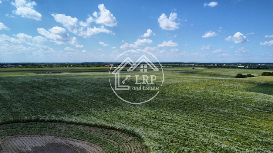 Teren Intravilan 9.918 mp Creața Dascălu, T66– Parcelabil