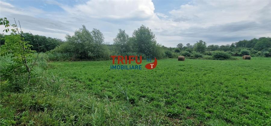 Oportunitate de Investiție: Teren 24000mp Intravilan Construibil în Ga