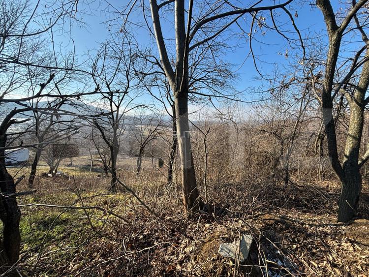 Teren intravilan de vanzare, 17700 mp Zalau - 2