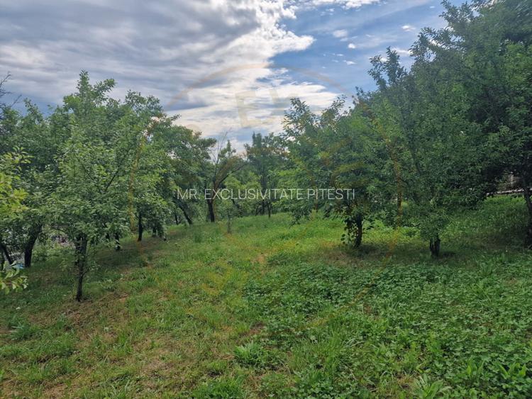 Teren intravilan 1400 mp - Albota! - 5