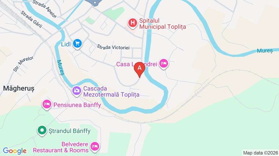 Vanzari teren intravilan in Bamfy, toplita,