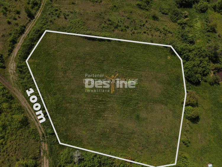 Teren compact intravilan 8000 mp vedere spre Lac, utilități - 4