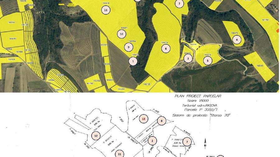 RASOVA Cochirleni Teren extravilan 38 Hectare comasat 100%