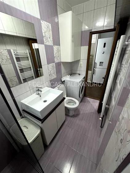 Apartament 1 camera de vanzare  in Alexandru cel Bun - 7