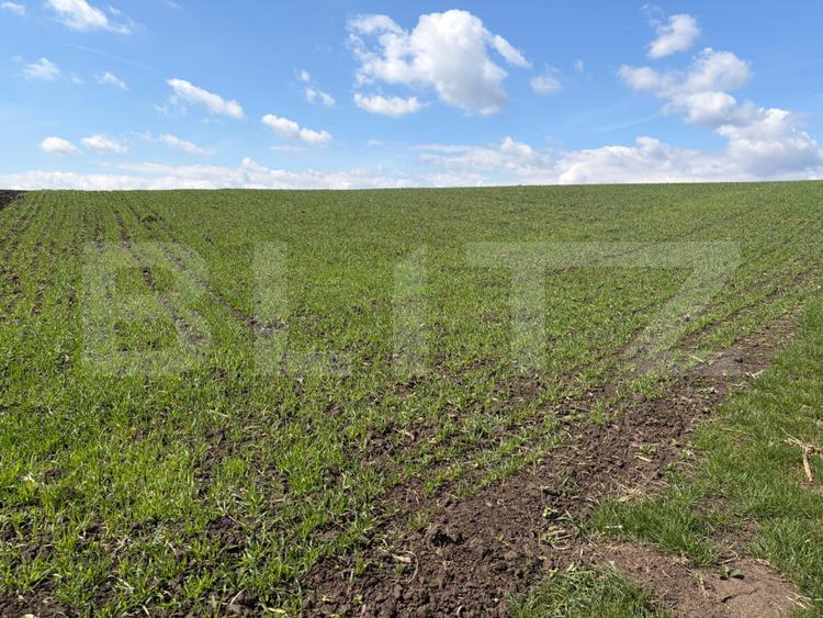 Teren extravilan, 3900 mp, zona Cumparatura