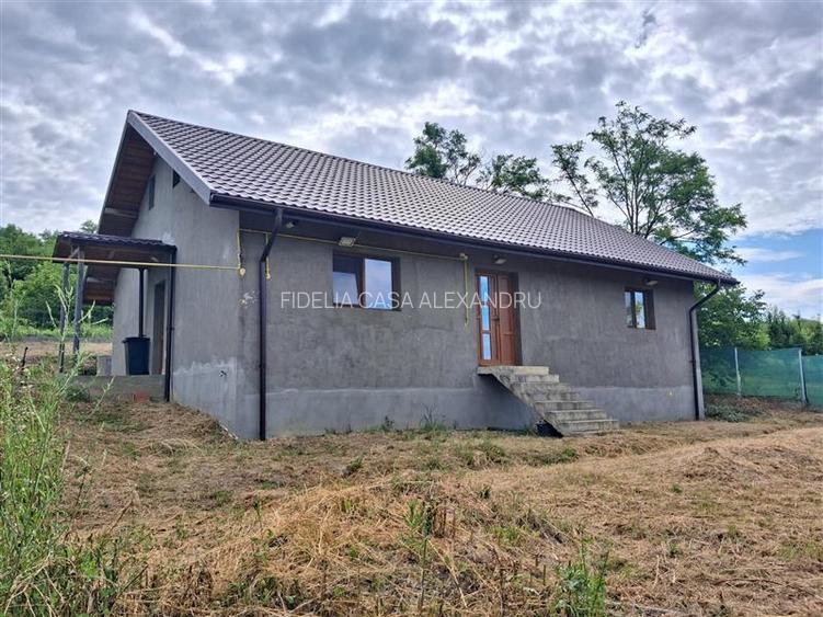 Casa de vanzare Rediu - 3