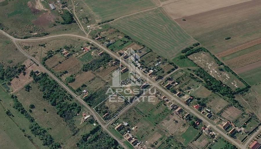 Teren intravilan pentru investitie, 2896 mp, Herneacova Timis