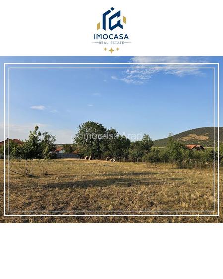 Opurtunitate si liniște Casa de vânzare la cheie Mocrea Jud. Arad - 31