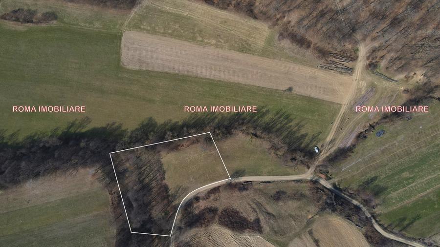 Teren superb de vânzare în Dumbrăvița – 3.750 mp