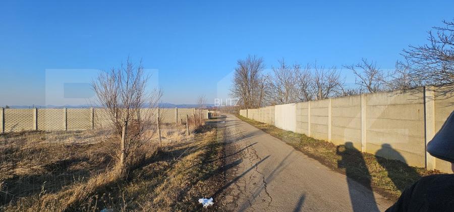 Teren intravilan 1677 mp în Băcia - 4