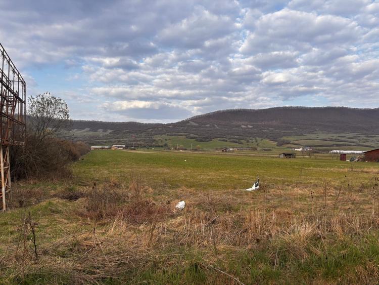 Teren 1.23 ha | DN17 | Șieu-Măgheruș