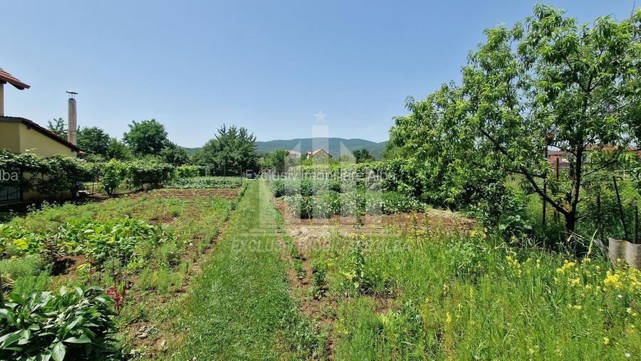 Teren intravilan | 1400 mp | 16 ml deschidere | Alba-Micesti - 7