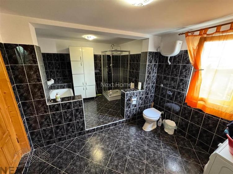 CASA DE VANZARE PANCIU - 8