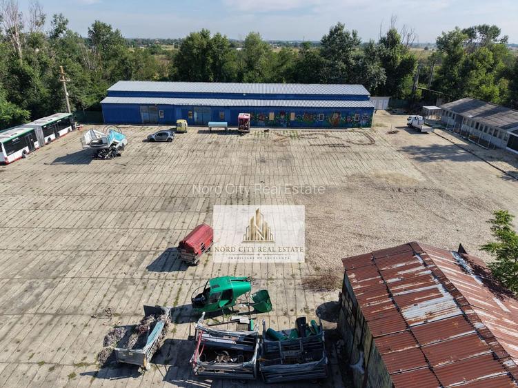 Platformă Industrială 38.615 mp | Hale | Dărăști-Ilfov - 9