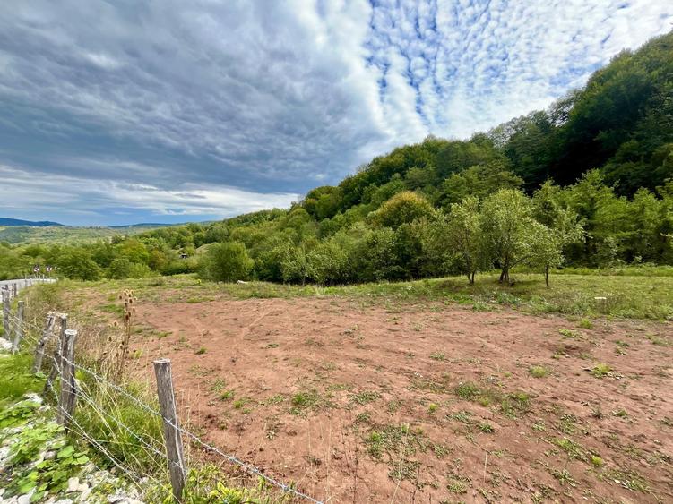 Teren 5.600 mp – Liniște, Natură și Verdeață | 10€/mp - Comision 0%
