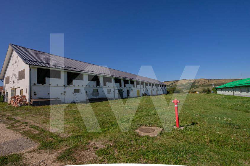 Proprietate industrială cu hale moderne, teren generos și acces Autostrada A1