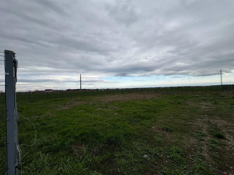 Teren de vânzare în Golești – 3 loturi a câte 530 mp
