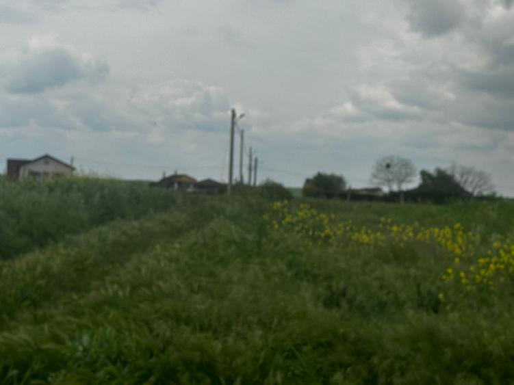 Constanta - Tuzla - teren intravilan 1000mp