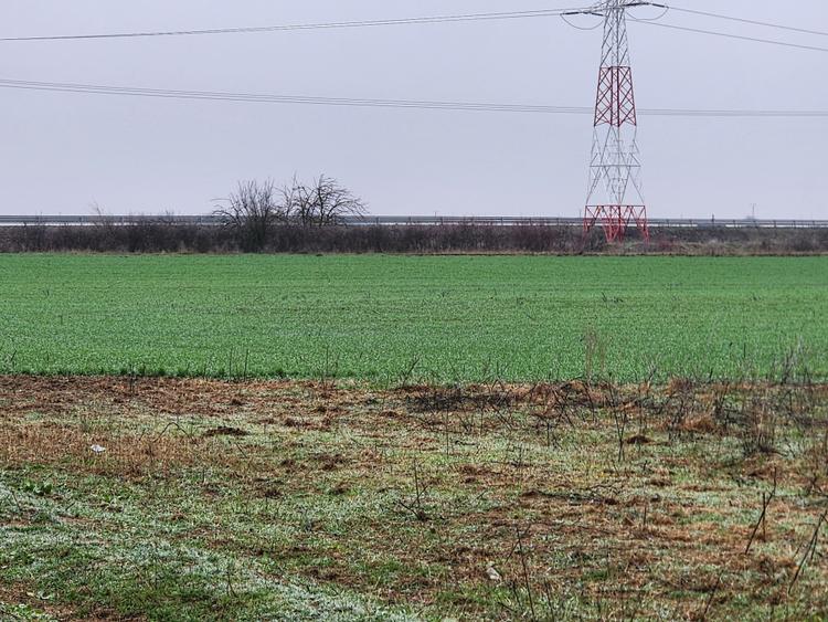 Vand teren agricol extravilan în Giroc
