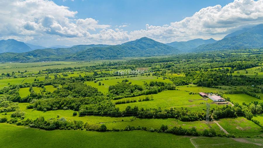 Teren de investiție în zona Tohanul Nou - Bran  5.800 mp - 7