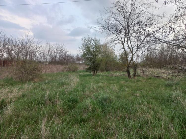 Teren de vanzare in Snagov, Jud. Ilfov