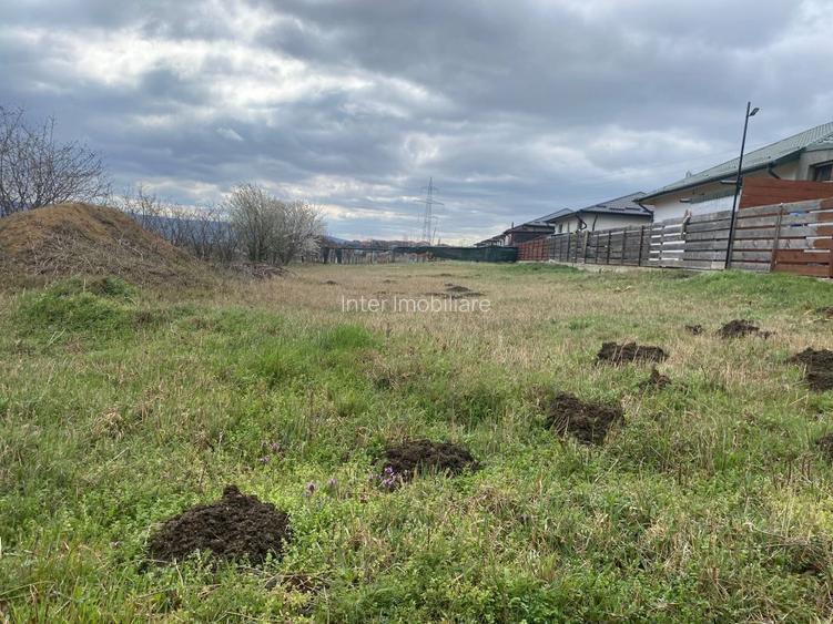 Teren Horpaz cod - 5