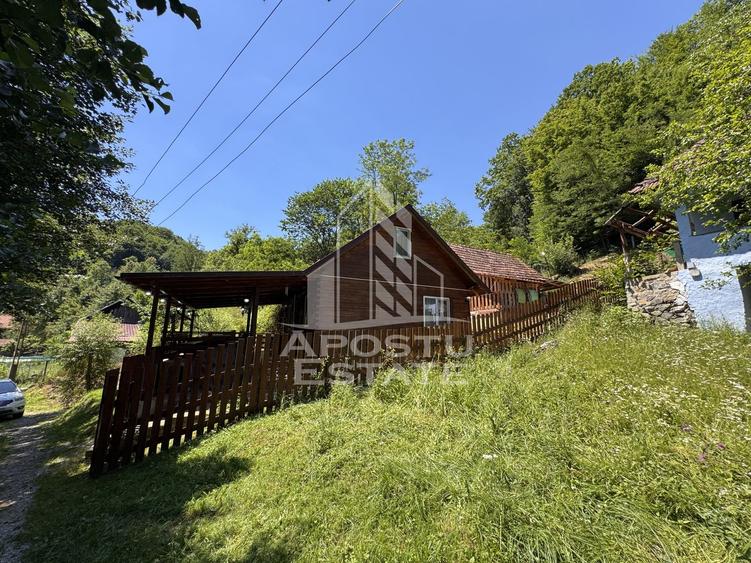 Casa din lemn, zona muntoasa, cu rau, la cheie, Ribita, Hunedoara