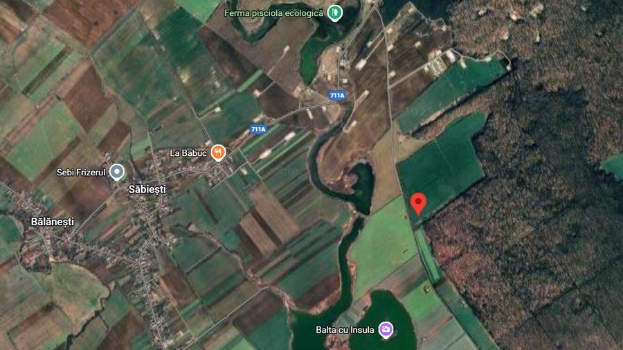 3 loturi de teren langa padure langa lacul Colacu, Dambovita