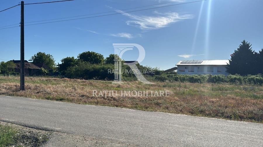Teren de inchiriat | Acces rapid la E60 | Bihor - 2