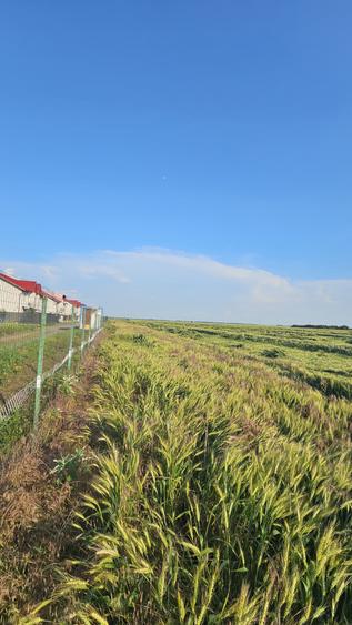 Teren intravilan Popesti | Proximitate A0 | Ideal dezvoltare imobiliara
