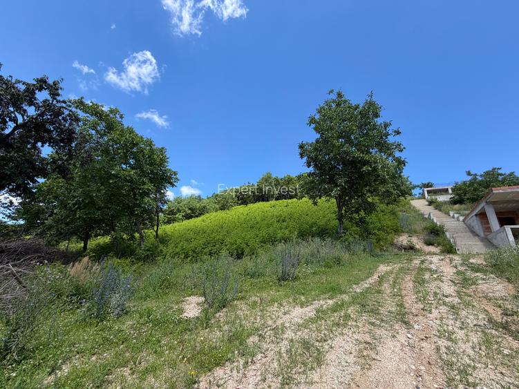 Teren intravilan 2.500 mp in Cisnadioara / jud. Sibiu - 3