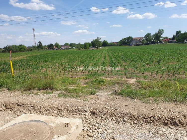 Vând teren intravilan situat în Moara Vlăsiei, Strada Berzei, cu suprafața de 10 - 4