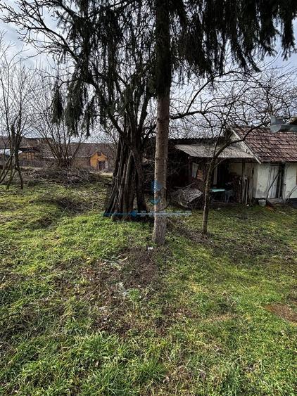 Casa individuala și în stare buna de vânzare în Ohaba
