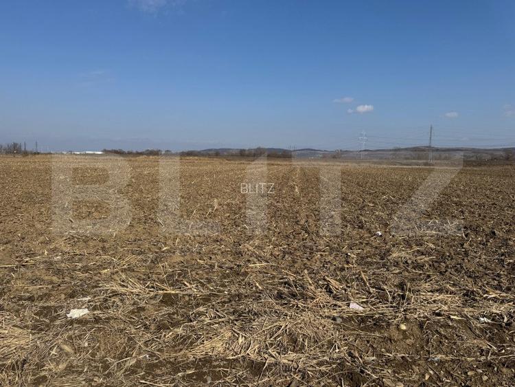 Teren intravilan de vanzare,2900mp - Soseaua de centura - 3