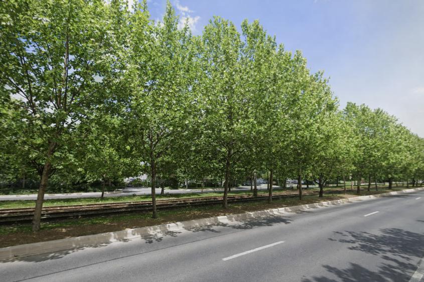 Teren 13.800 mp cu deschidere la Bulevardul Theodor Pallady