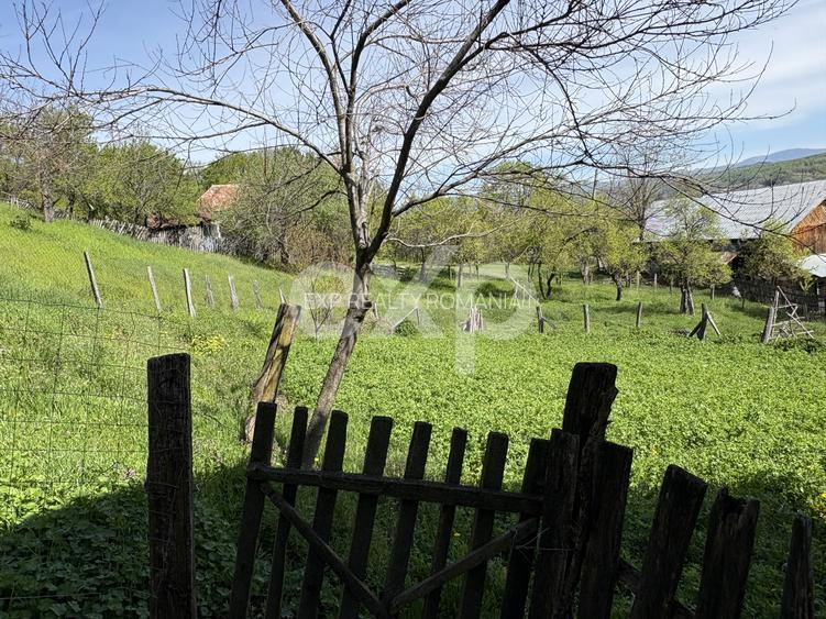 14.613 mp teren | Casă la roșu și 2 case tradiționale | 1,5 km de A1 Tigveni - 6