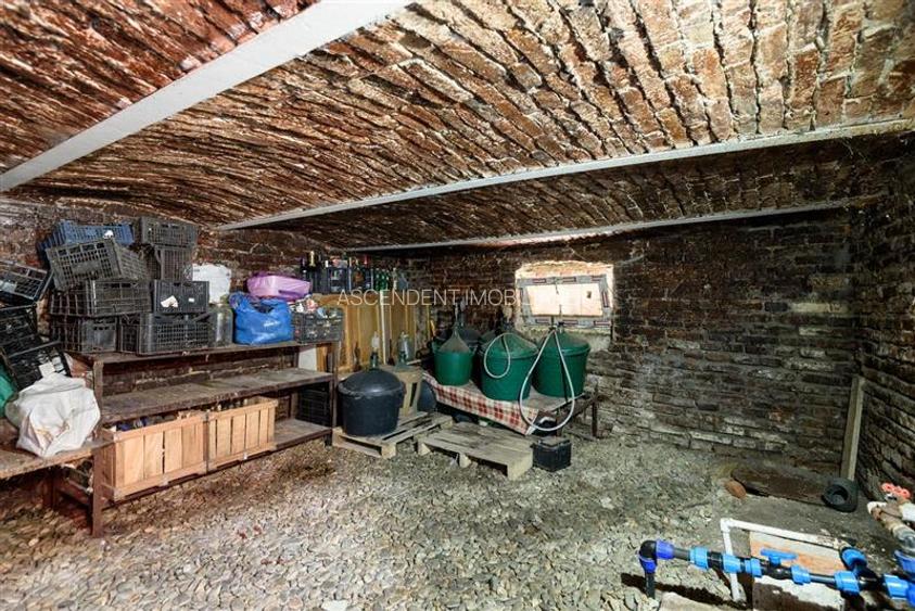 Proprietate versatila, amprenta moderna, teren generos, Sanpetru, Brasov - 31