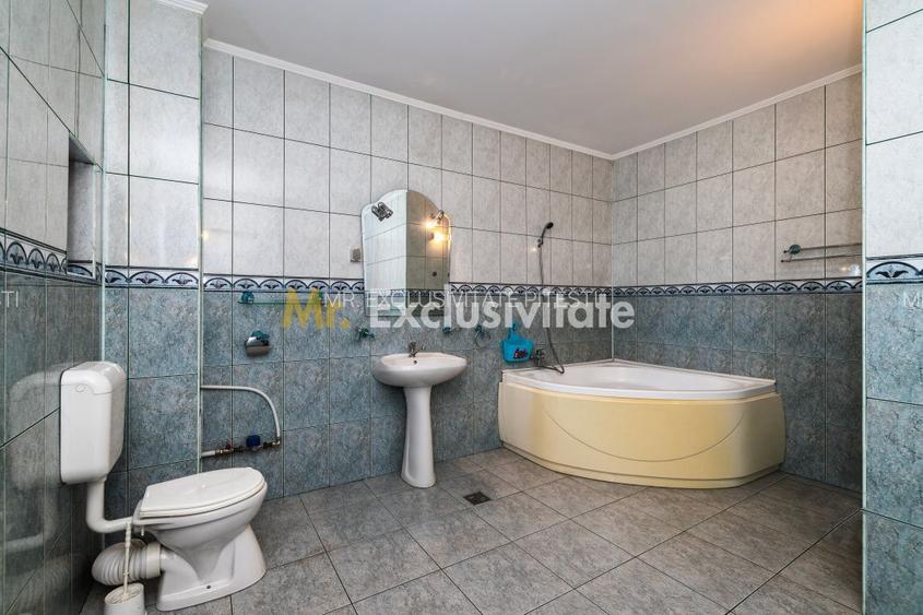 Proprietate premium vis-a-vis de noul Stadion Nicolae Dobrin - 26