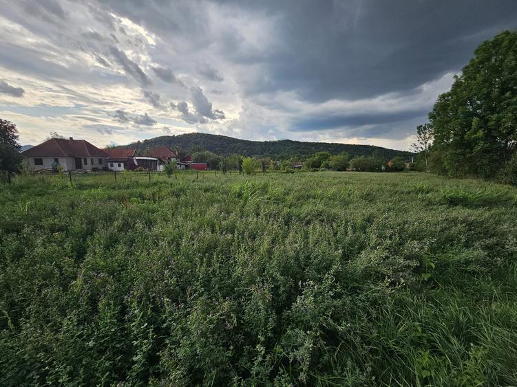 Casa cu teren , localitatea Birtin