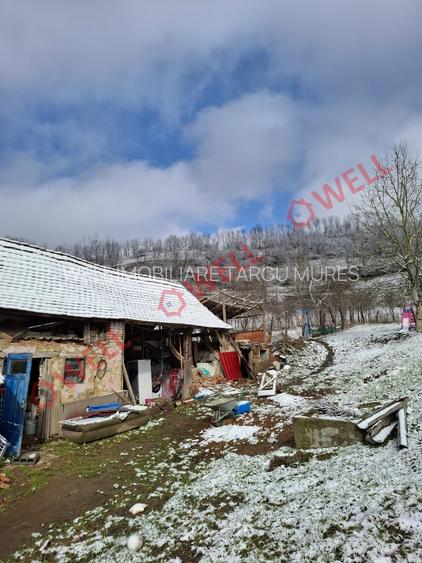 CASĂ FAMILIALĂ DE VÂNZARE SITUATĂ ÎN GOGANI - 7