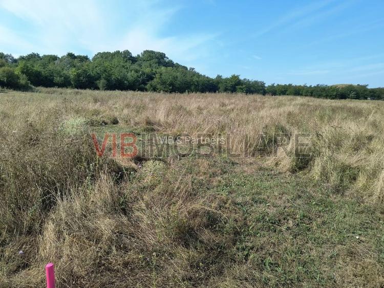 Baicoi/ Saramura/Teren investitie 7500 mp/ d_68 - 3