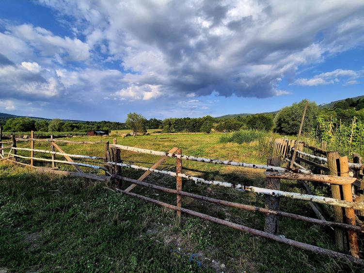 Investitie teren generos 3021 m limita intravilan, Via Transilvanica, Sinca Noua